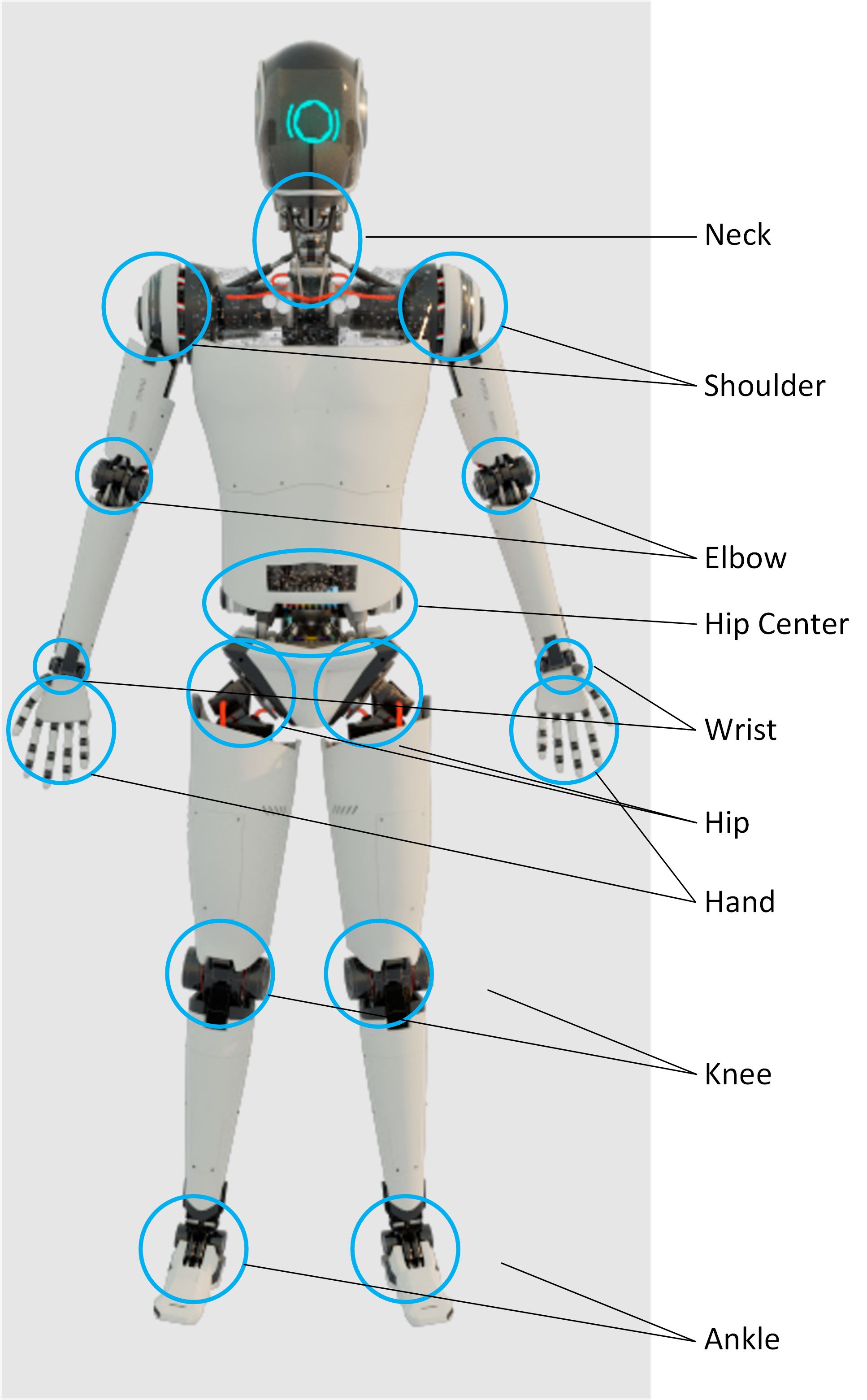  Showing Locations of DOF in Humanoid Robots